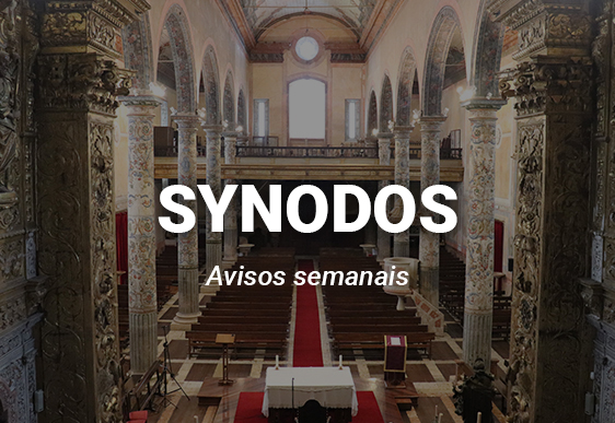 Synodos